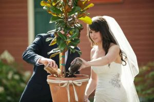 Ritual del arbol, ceremonia del arbol bodas